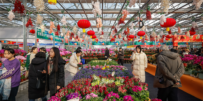 第十五届吉林（长春）冬季农业展览会暨吉味年菜甄选活动在长春农博园开幕